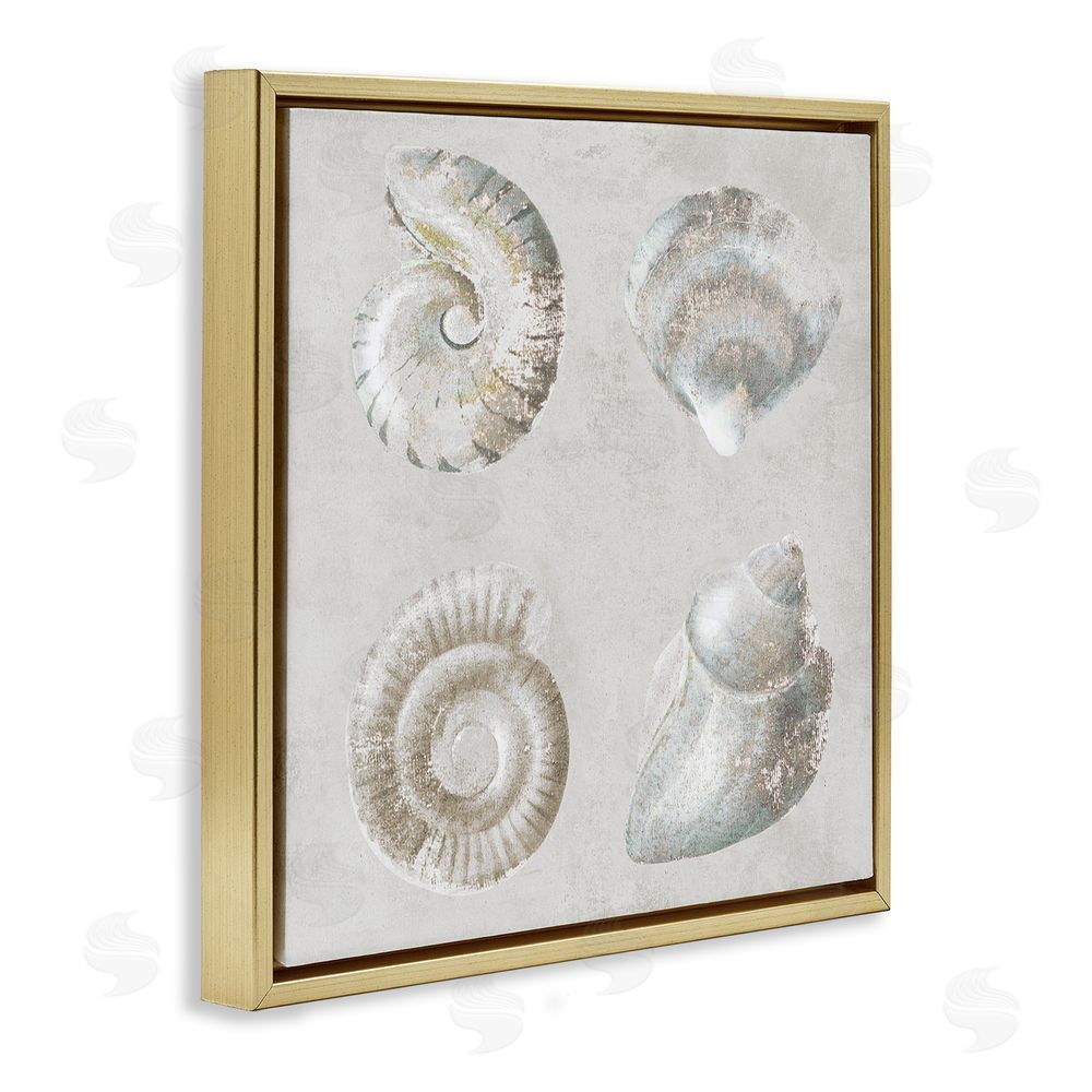 Lorenzo Collective Quartet of Seashells Gold Floating Frame Canvas Wall Art Print