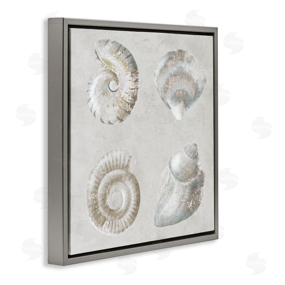 Lorenzo Collective Quartet of Seashells Gray Floating Frame Canvas Wall Art Print