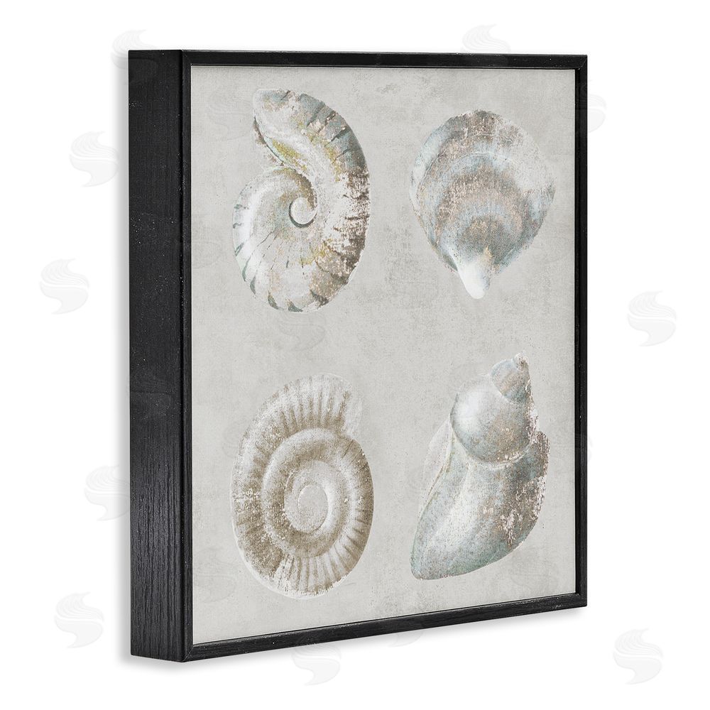 Lorenzo Collective Quartet of Seashells Black Framed Giclee Wall Art Print