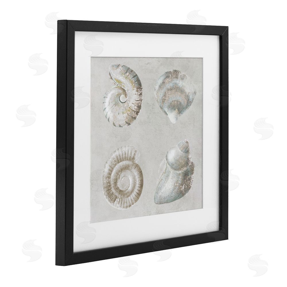 Lorenzo Collective Quartet of Seashells Black Framed Print Under Glass Wall Art