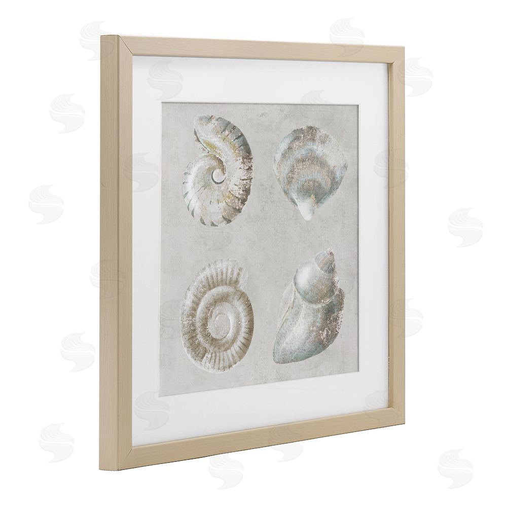 Lorenzo Collective Quartet of Seashells Brown Framed Print Under Glass Wall Art