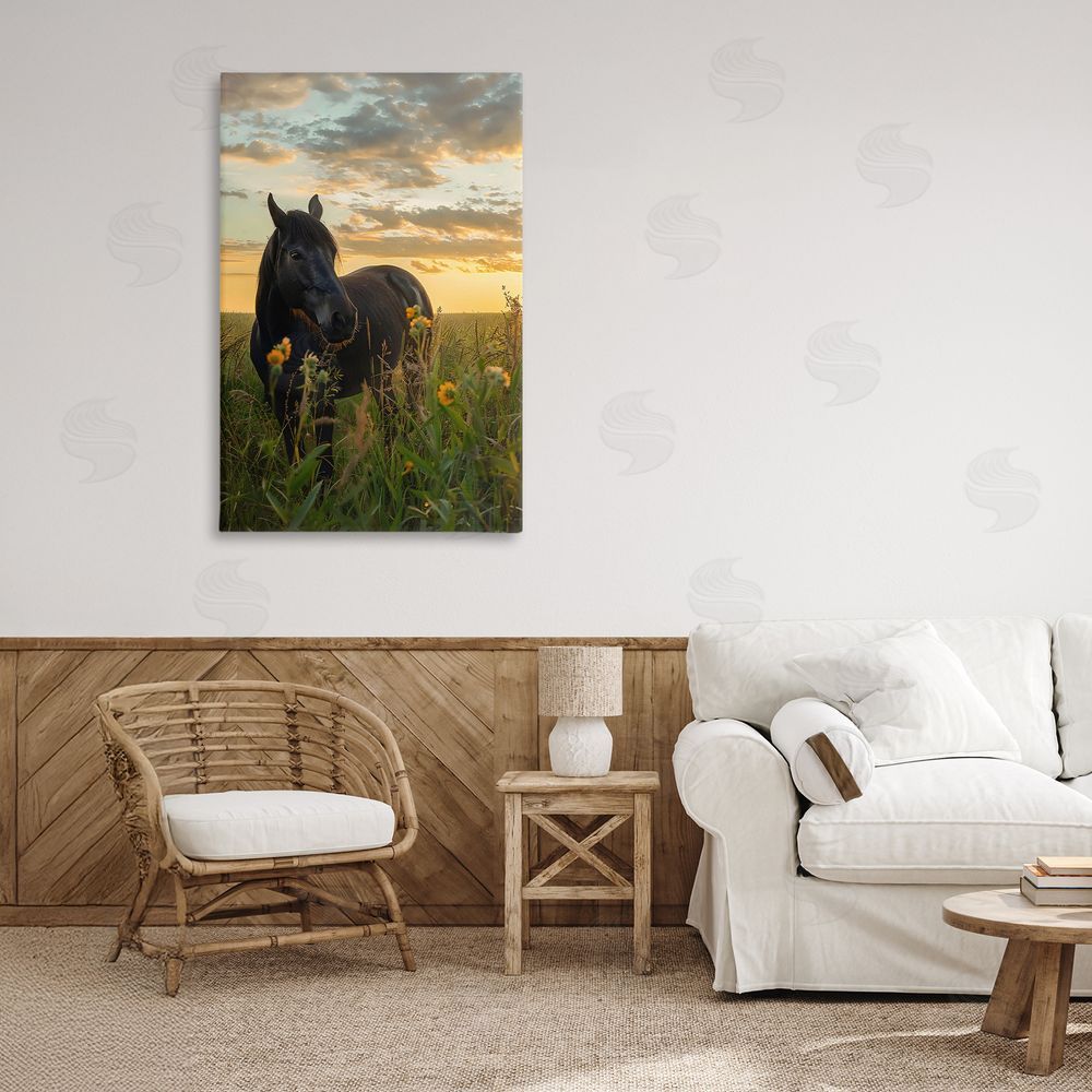 Creative Studio Standing In Field Of Flowers Stretched Canvas on Wall