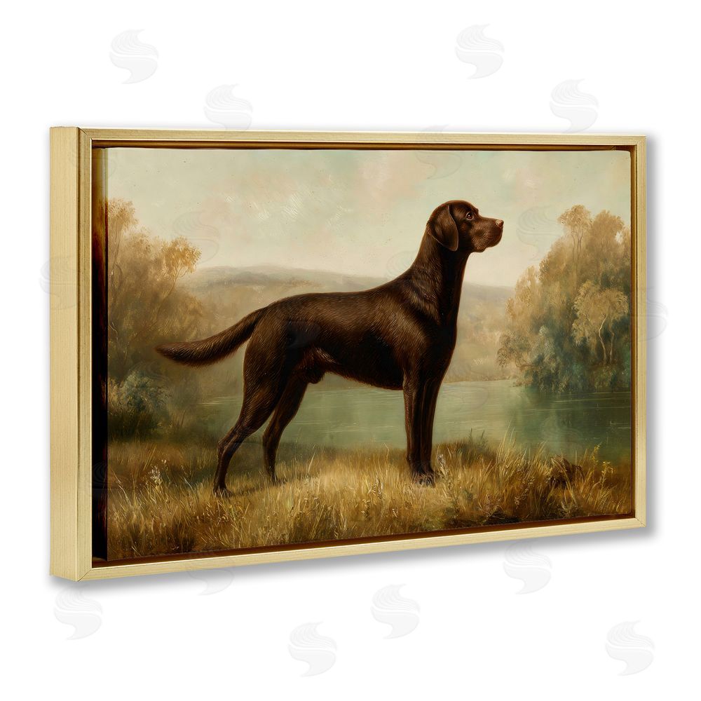 Petal Prints Design Chocolate Brown Labrador Gold Floating Frame Canvas Wall Art Print