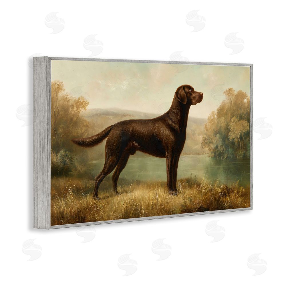 Petal Prints Design Chocolate Brown Labrador Gray Framed Giclee Wall Art Print