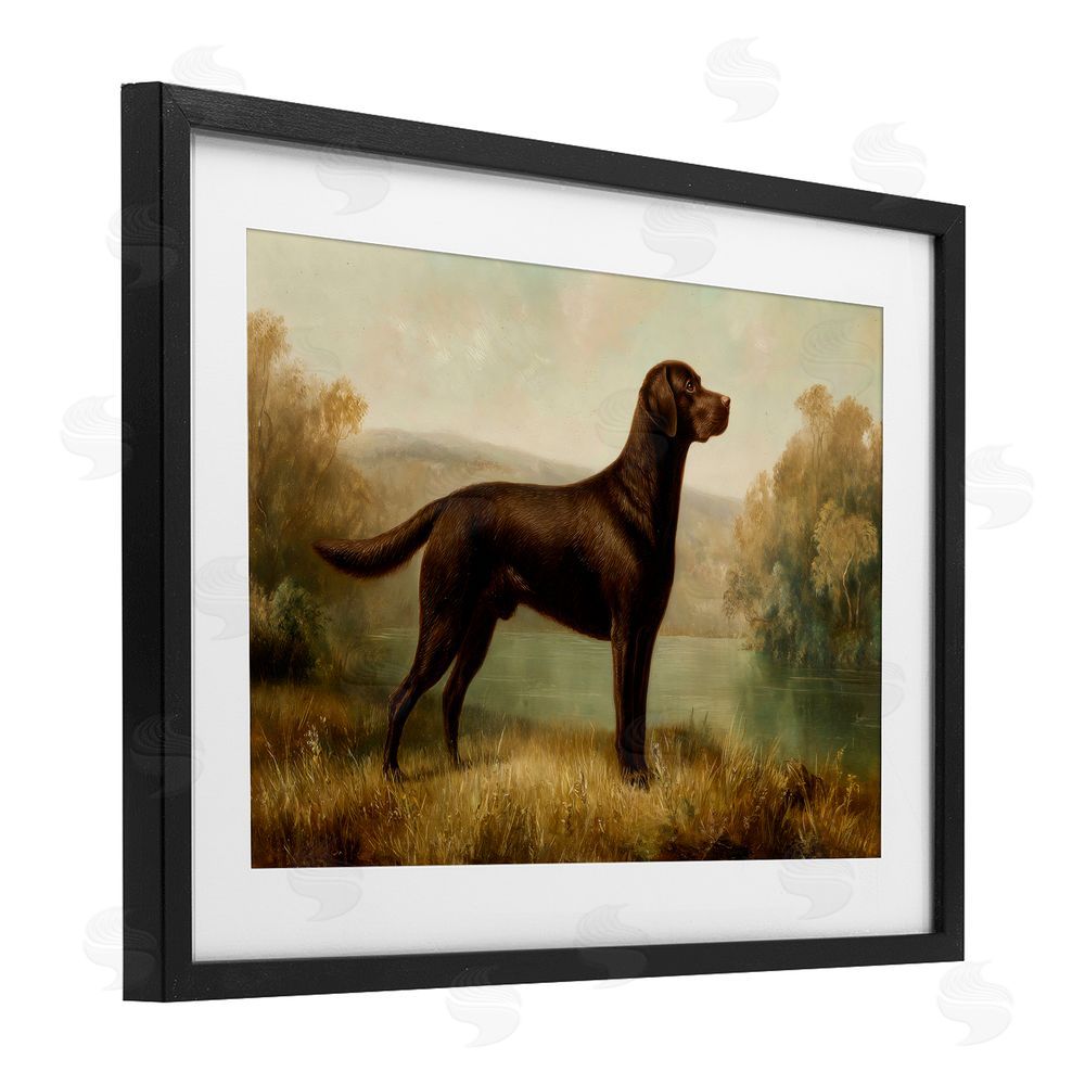 Petal Prints Design Chocolate Brown Labrador Black Framed Print Under Glass Wall Art
