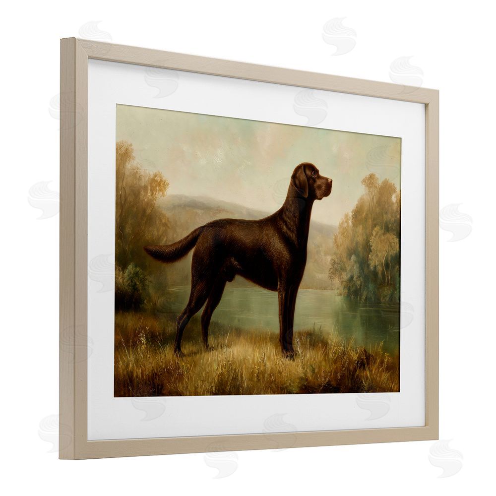 Petal Prints Design Chocolate Brown Labrador Brown Framed Print Under Glass Wall Art