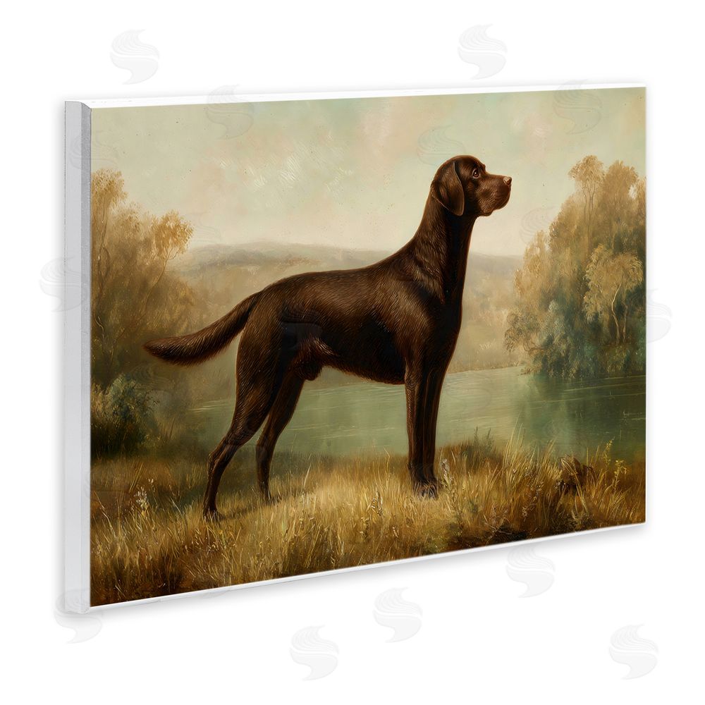 Petal Prints Design Chocolate Brown Labrador Wall Plaque with Fixed Lithograph Print