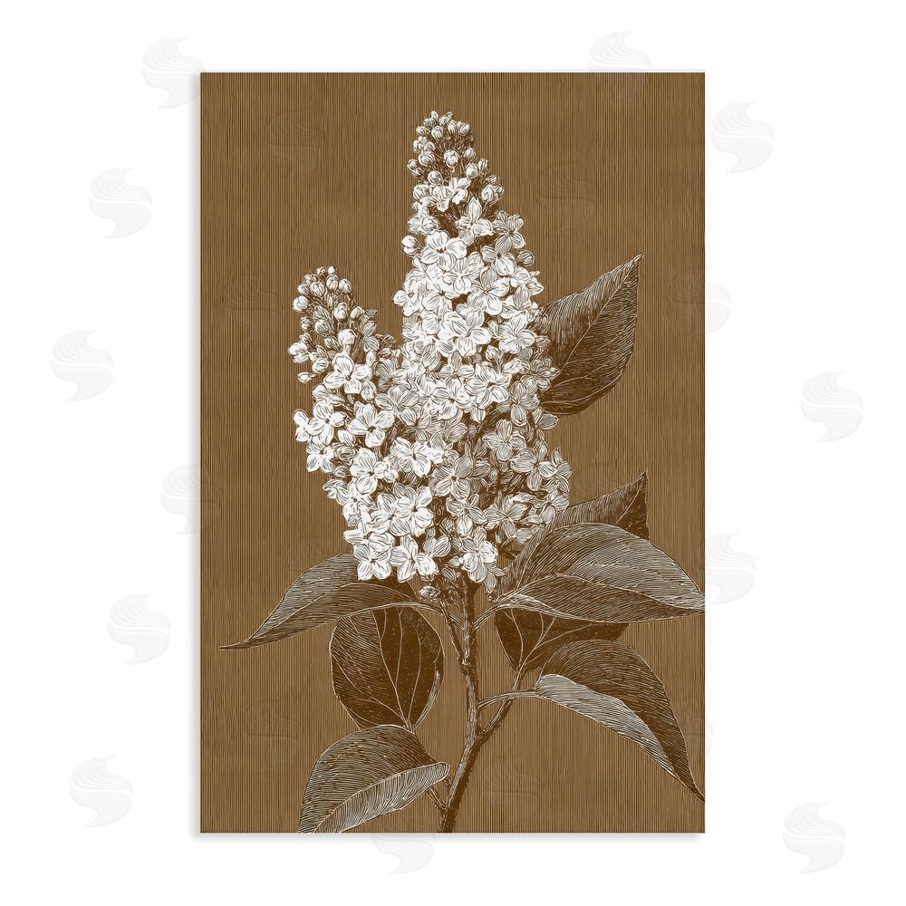 Petal Prints Design Vintage Striped Lilac Study Stretched Canvas Wall Art Print