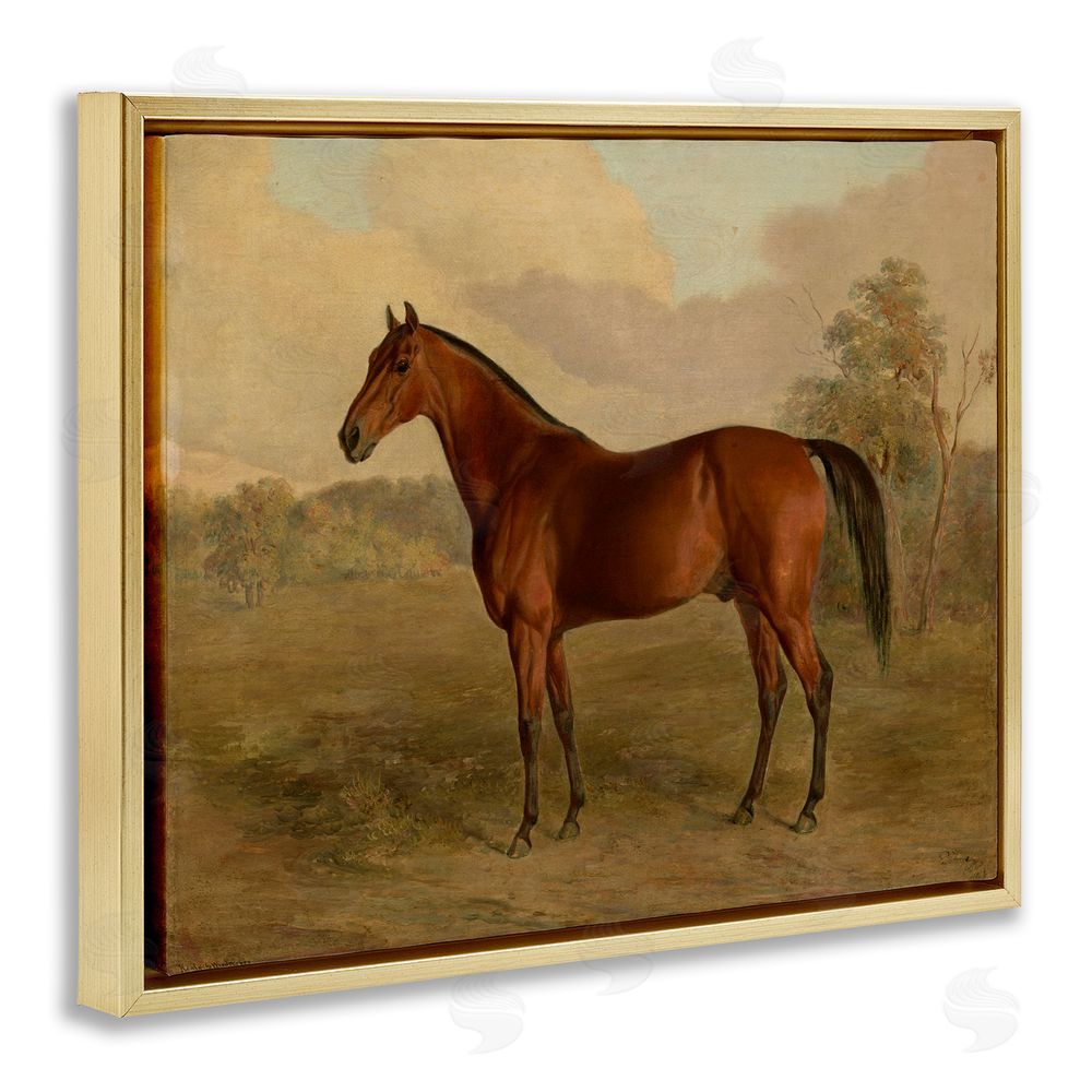Edward Troye Brown Graceful Horse Gold Floating Frame Canvas Wall Art Print