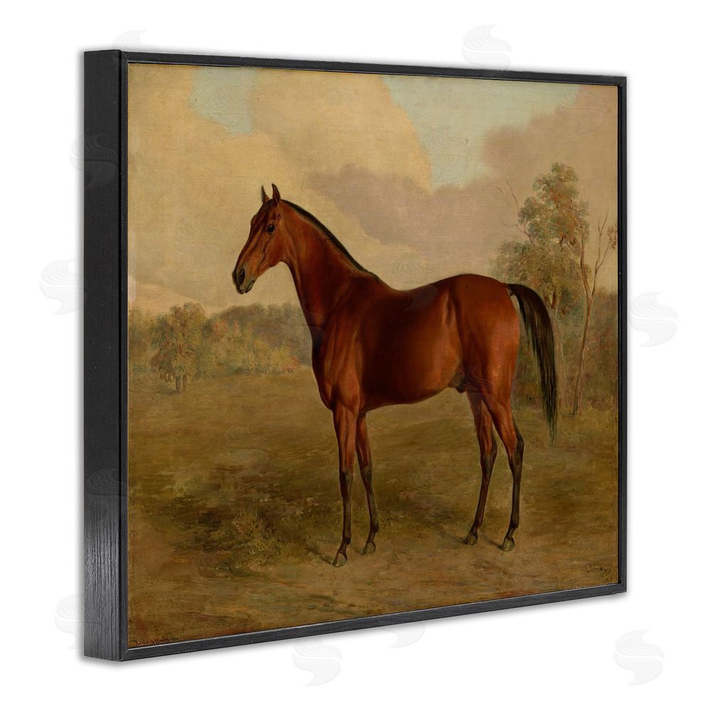 Edward Troye Brown Graceful Horse Black Framed Giclee Wall Art Print
