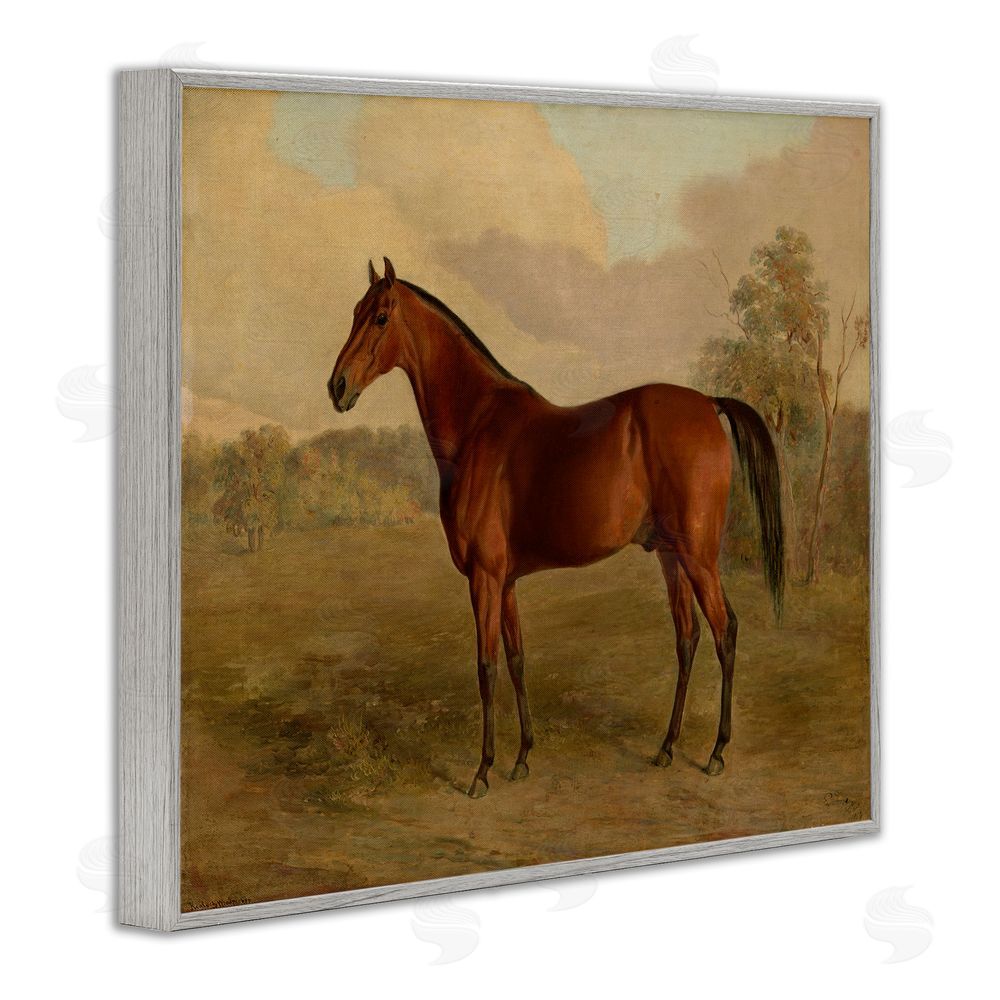Edward Troye Brown Graceful Horse Gray Framed Giclee Wall Art Print