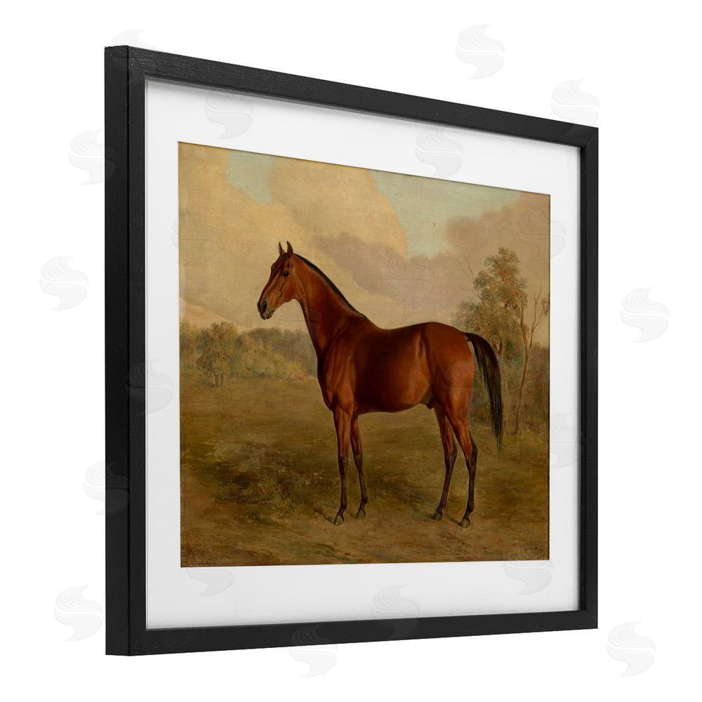 Edward Troye Brown Graceful Horse Black Framed Print Under Glass Wall Art