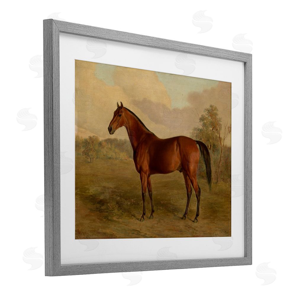 Edward Troye Brown Graceful Horse Gray Framed Print Under Glass Wall Art