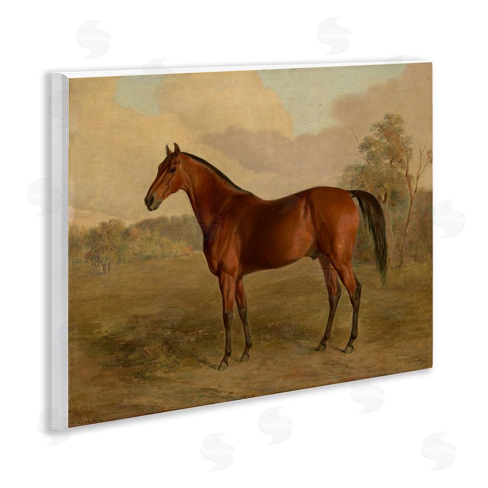Edward Troye Brown Graceful Horse Wooden Wall Plaque Art Print