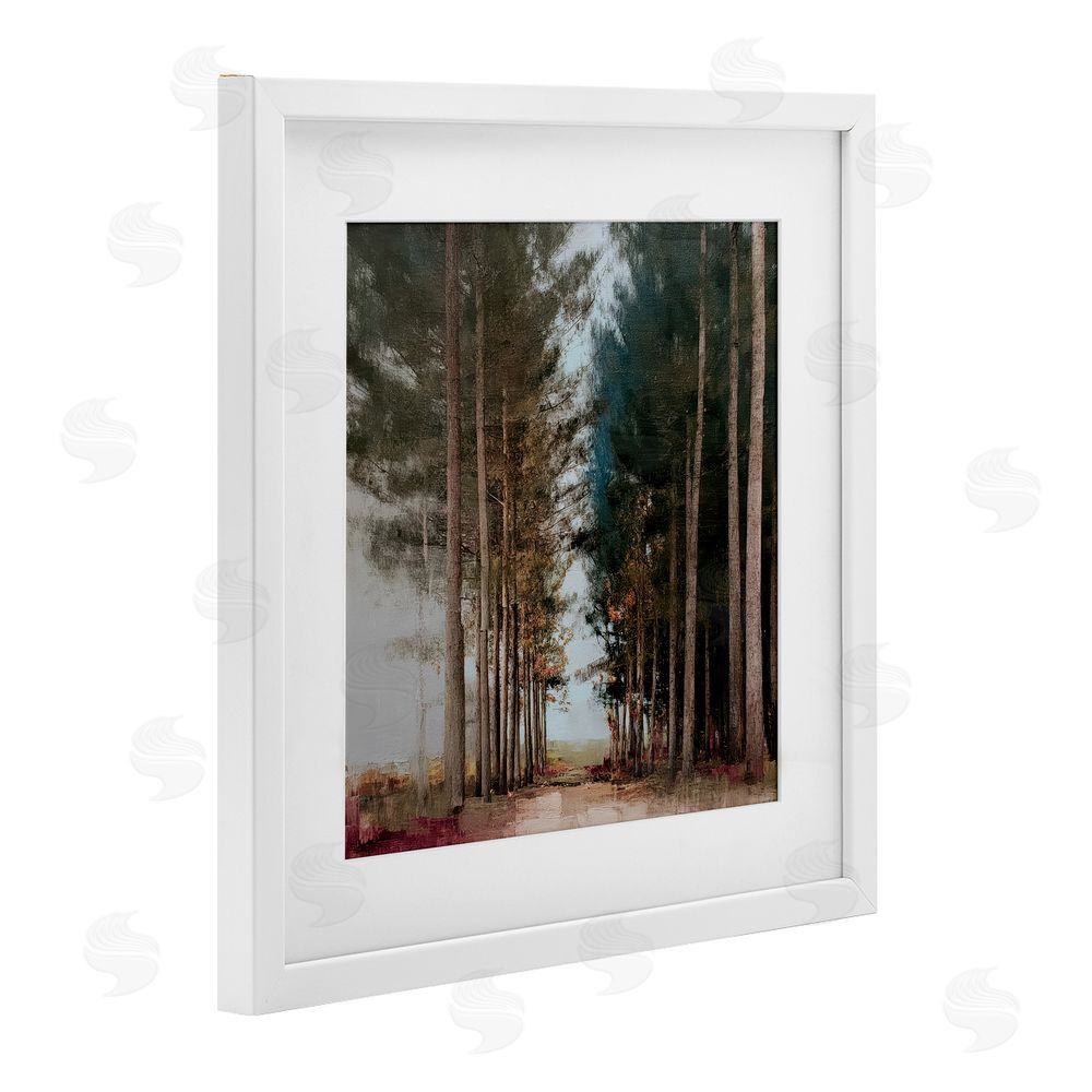 Kim Curinga Tall Trees Pathway White Framed Print Under Glass with White Mat Wall Art