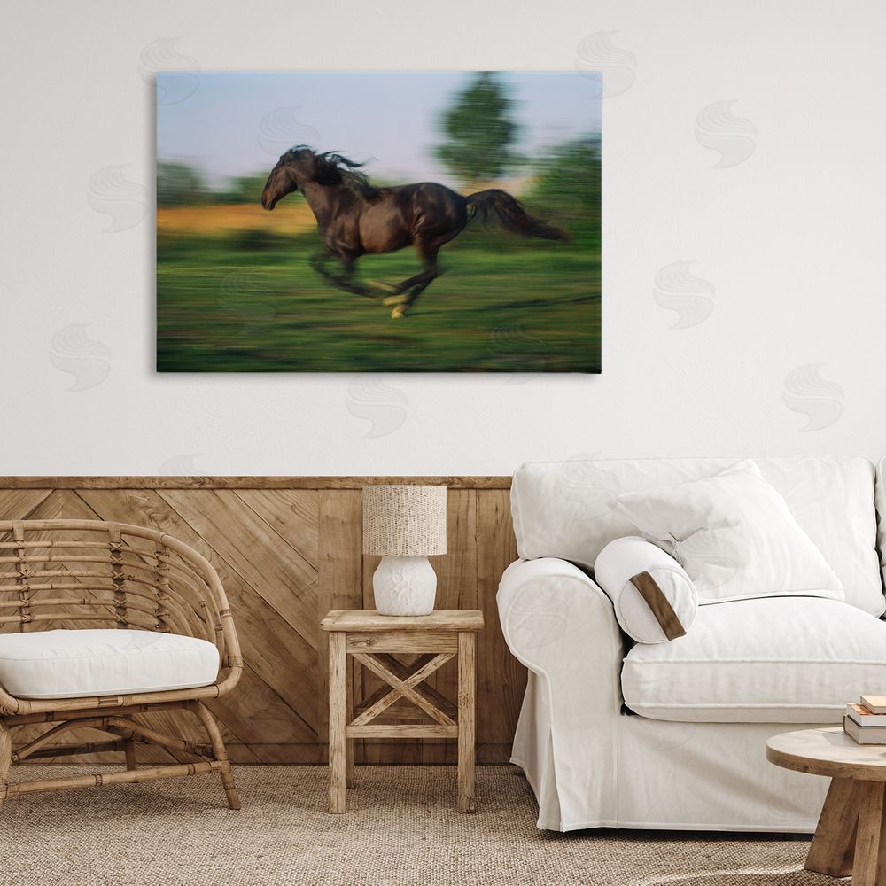 Scott Stulberg Dashing Camargue Racehorse Stretched Canvas Wall Art in Room