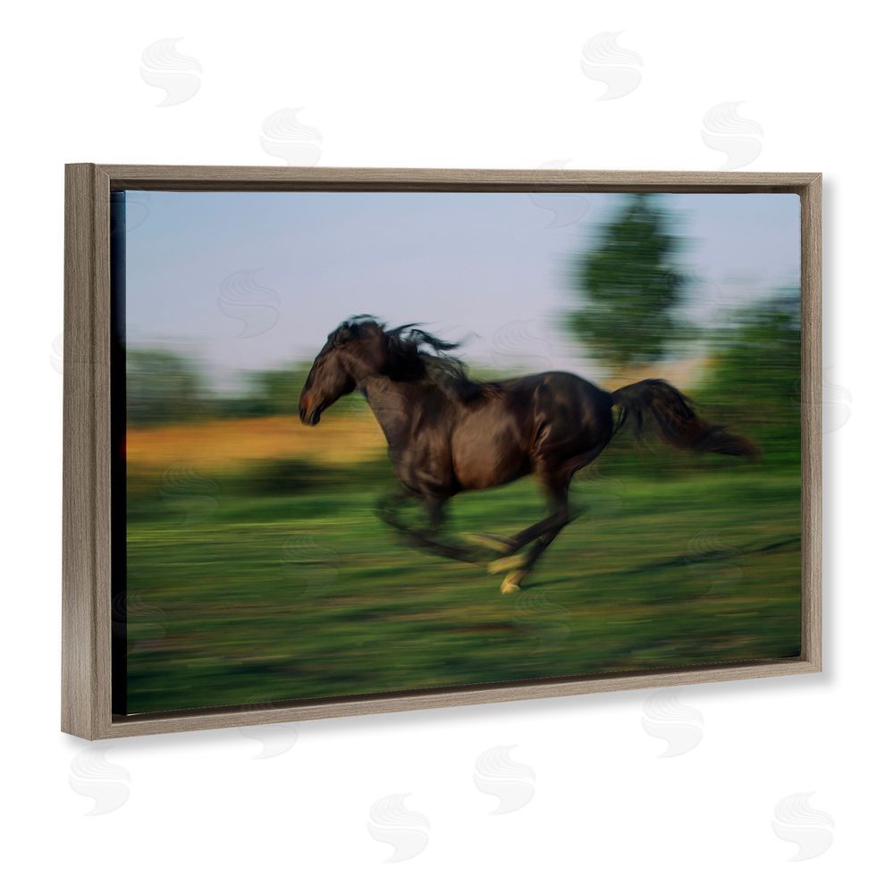 Scott Stulberg Dashing Camargue Racehorse Brown Floating Frame Canvas Wall Art Print