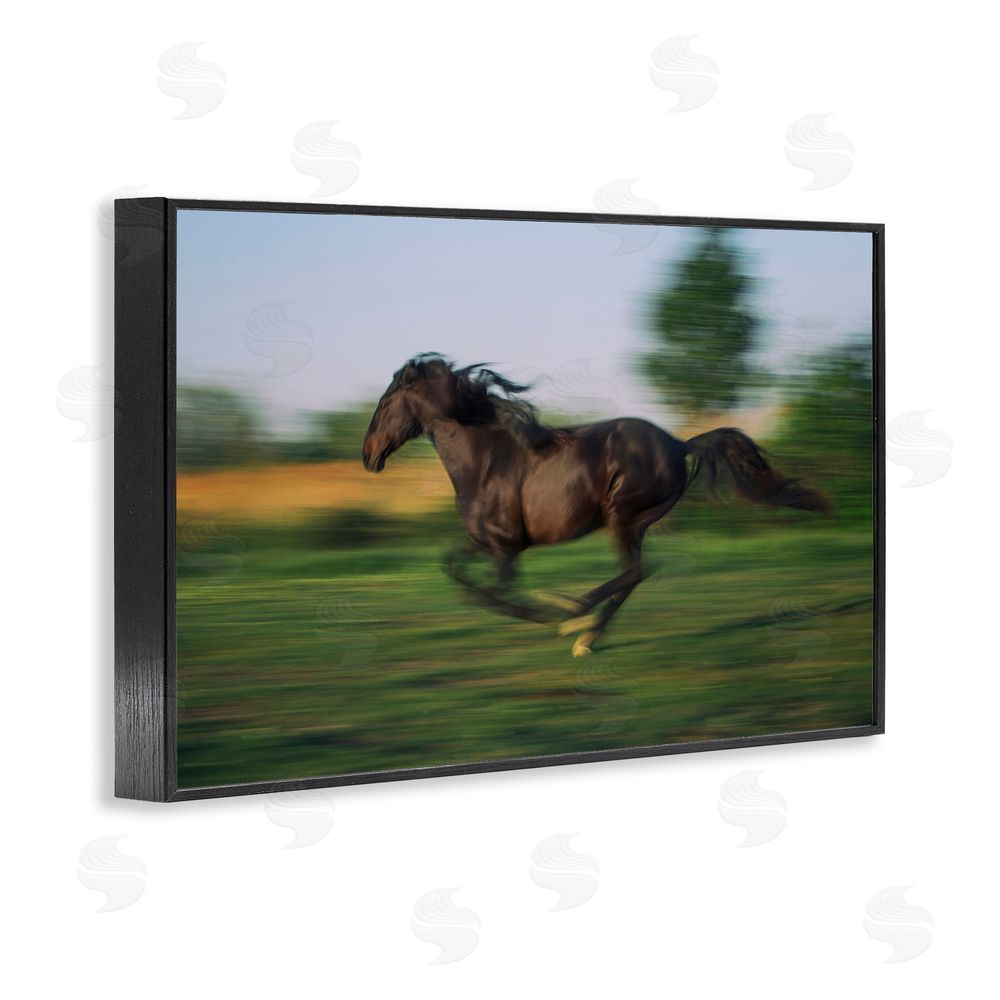 Scott Stulberg Dashing Camargue Racehorse Black Framed Giclee Wall Art Print