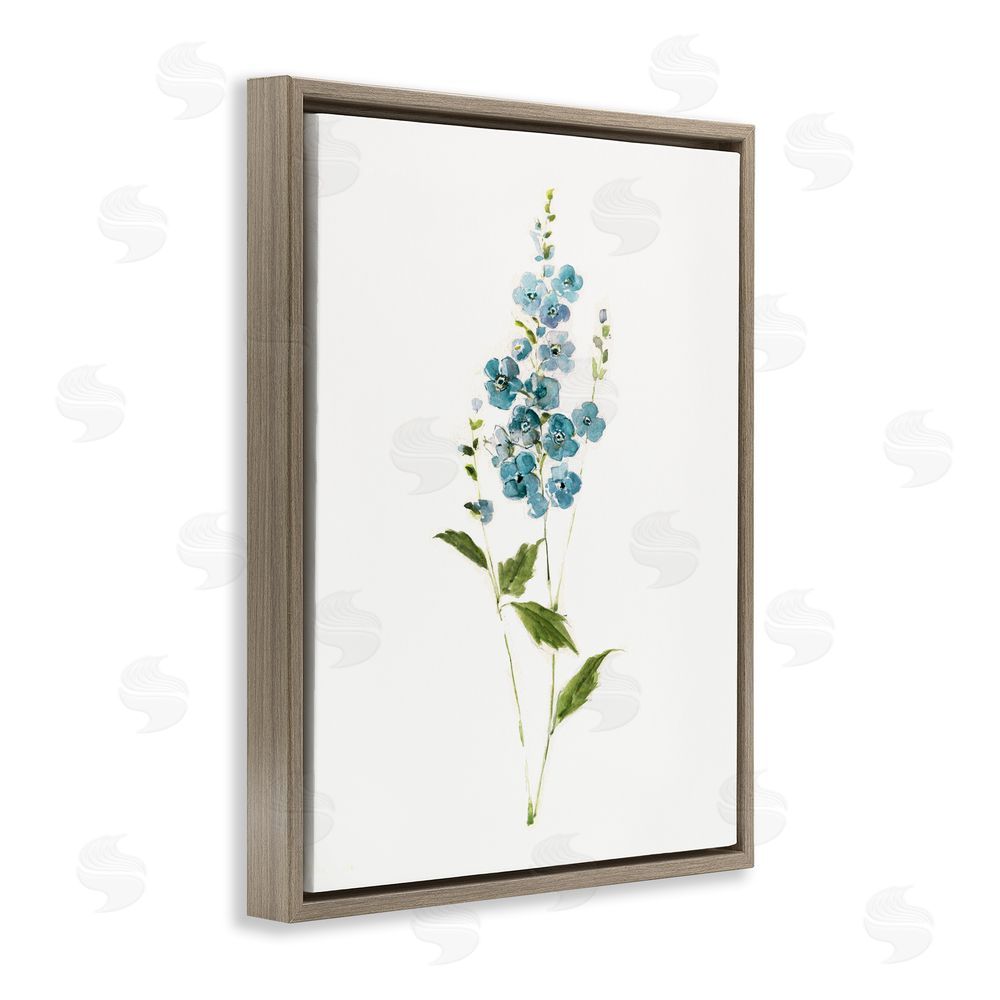Sally Swatland Delicate Blue Sprigs Brown Floating Frame Canvas Wall Art Print