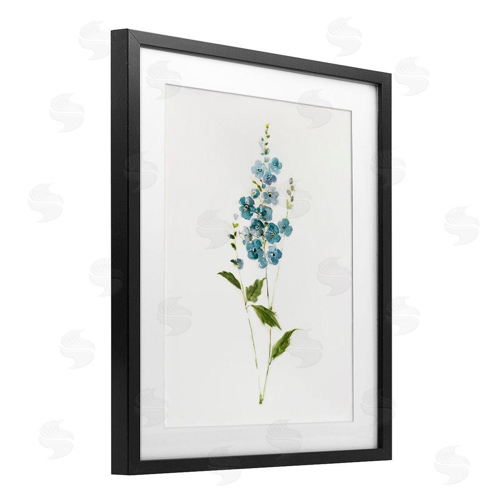 Sally Swatland Delicate Blue Sprigs Black Framed Print Under Glass Wall Art