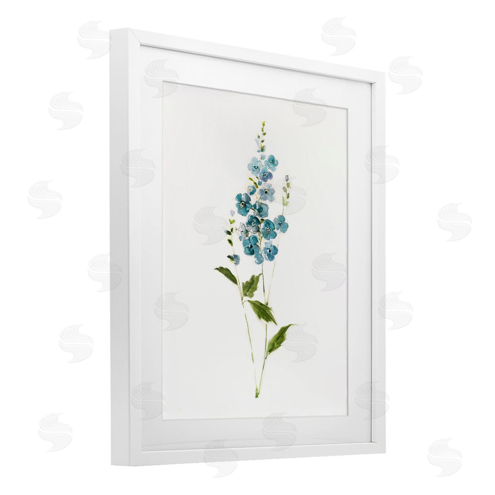 Sally Swatland Delicate Blue Sprigs White Framed Print Under Glass Wall Art