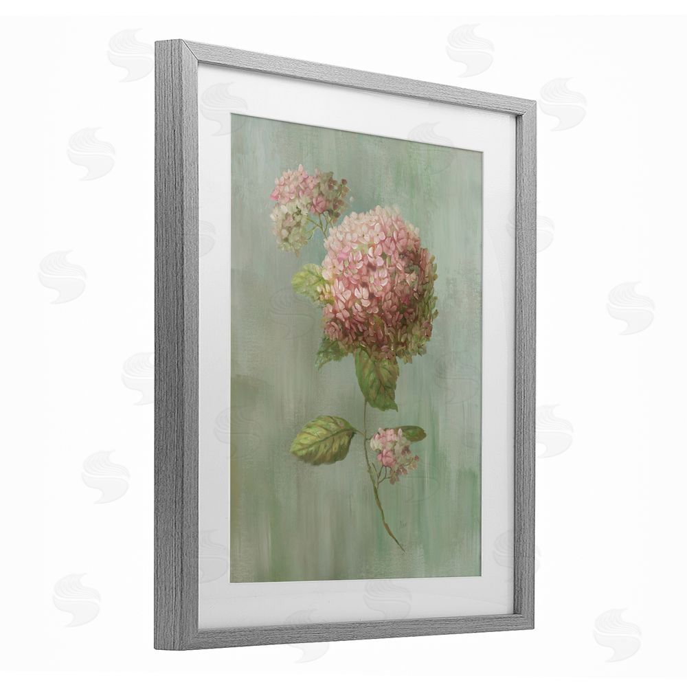 Nan Single Hydrangea Bushel Gray Framed Print Under Glass with White Mat Wall Art