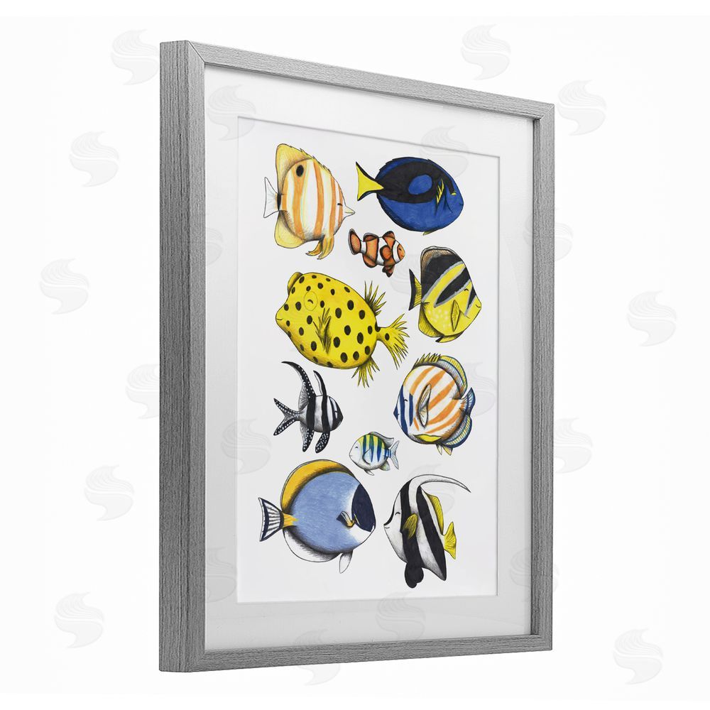 Cecilia Battaini Aquatic Fishes Collection Gray Framed Print Under Glass with Matting Wall Art