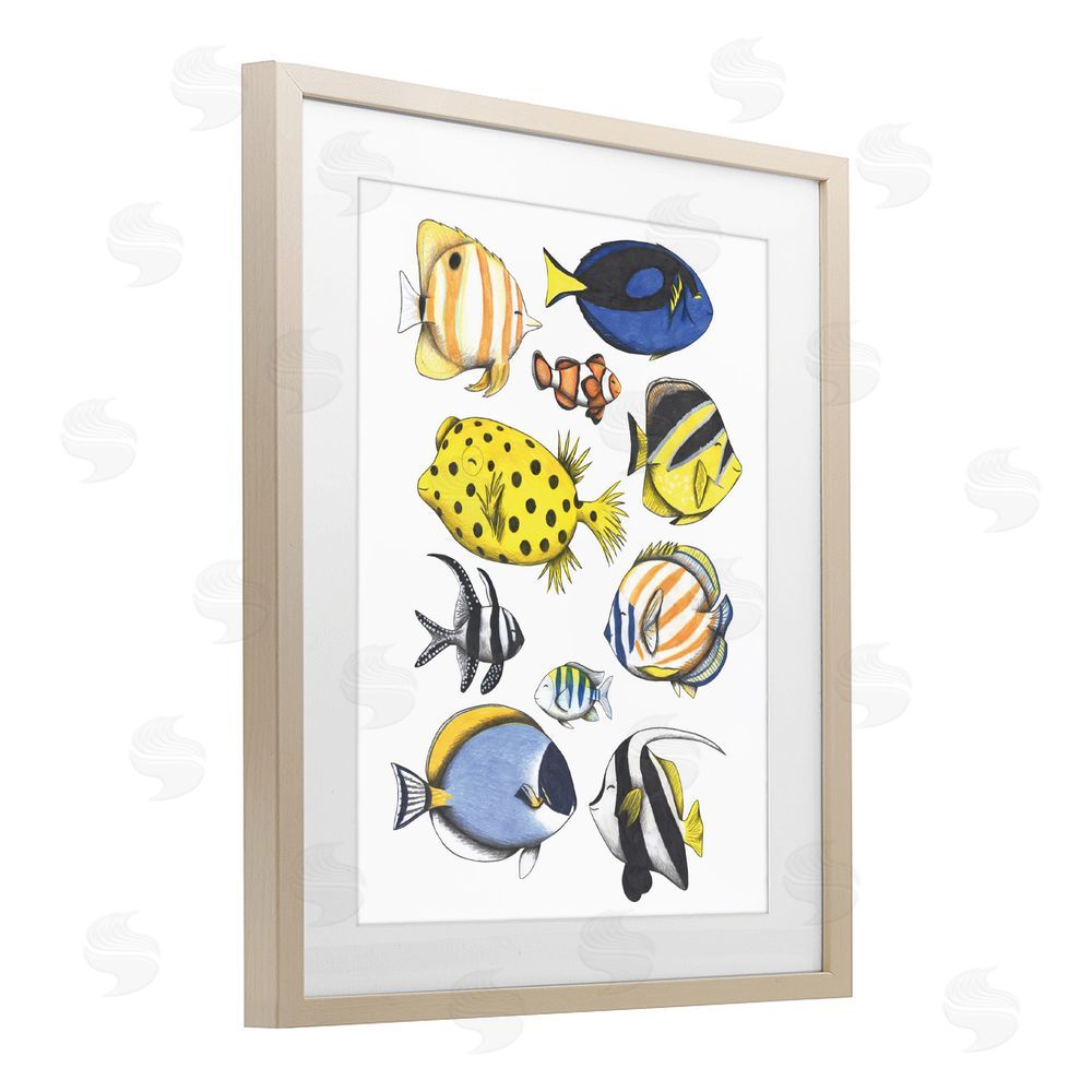 Cecilia Battaini Aquatic Fishes Collection Brown Framed Print Under Glass with Matting Wall Art