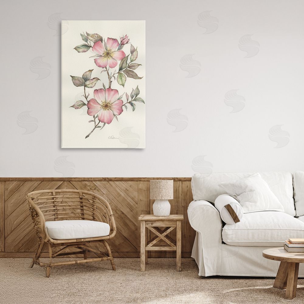 Cady Driver Two Flowers Natural Study Stretched Canvas on Wall