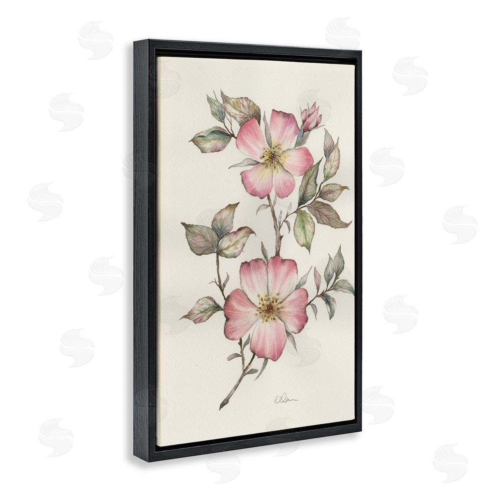 Cady Driver Two Flowers Natural Study Black Floating Framed Canvas Wall Art Print