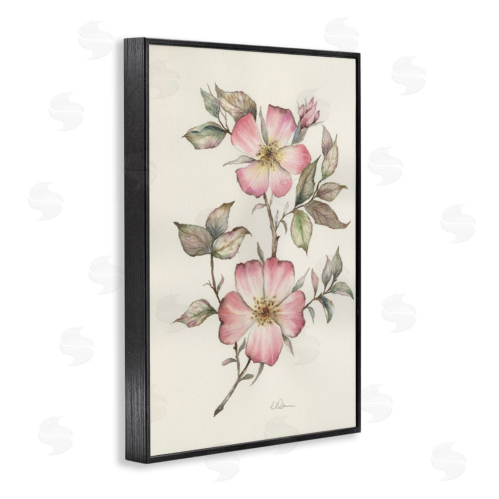 Cady Driver Two Flowers Natural Study Black Framed Giclee Wall Art Print