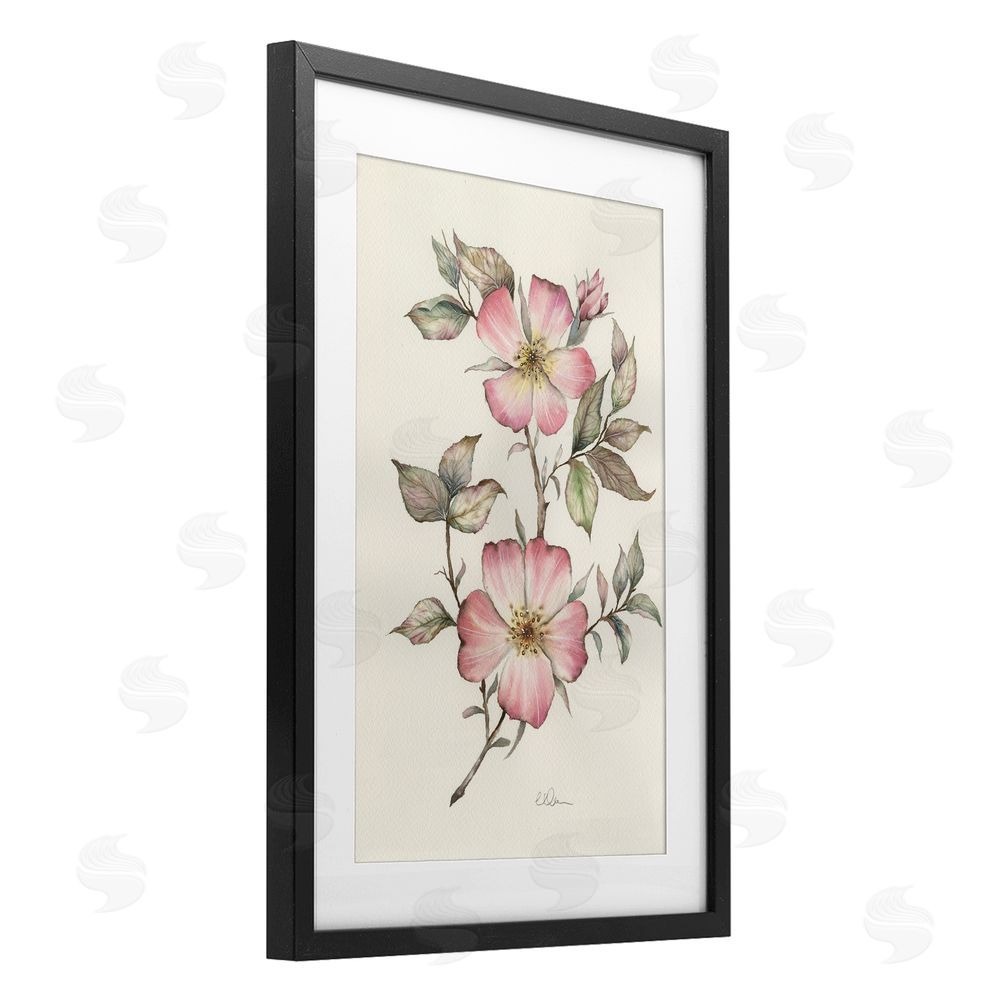 Cady Driver Two Flowers Natural Study Black Framed Print Under Glass with White Mat Wall Art