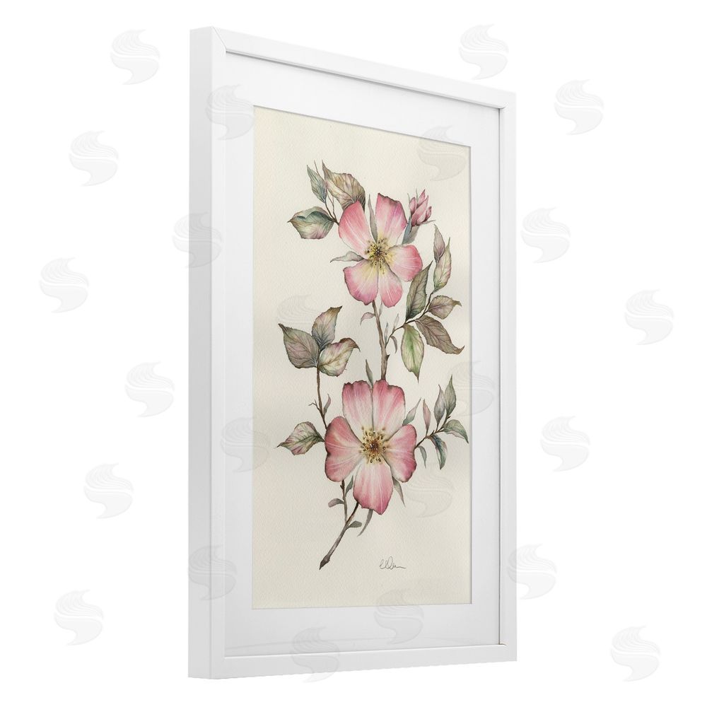 Cady Driver Two Flowers Natural Study White Framed Print Under Glass with White Mat Wall Art