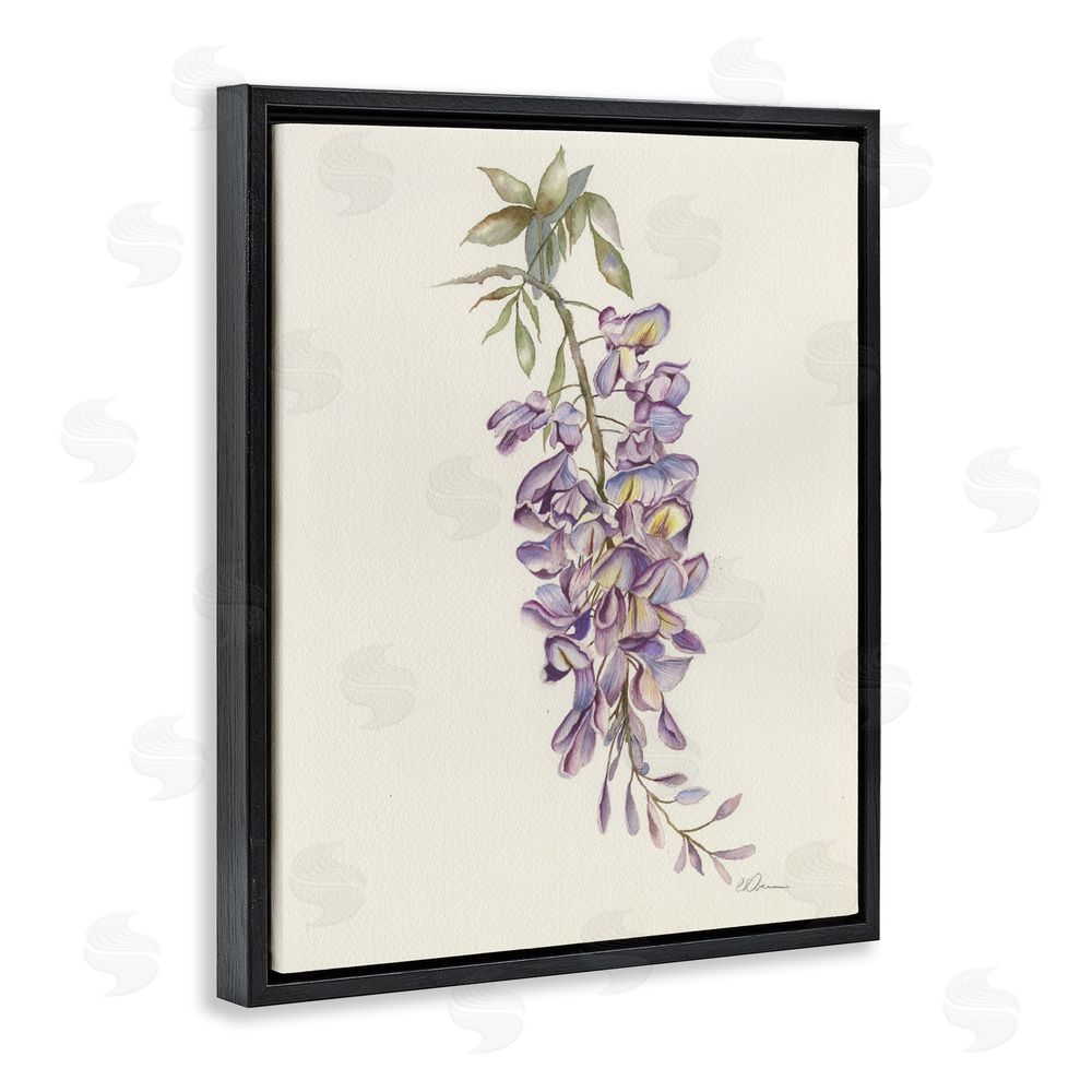 Cady Driver Delicate Hyacinths Study Black Floating Frame Canvas Wall Art Print