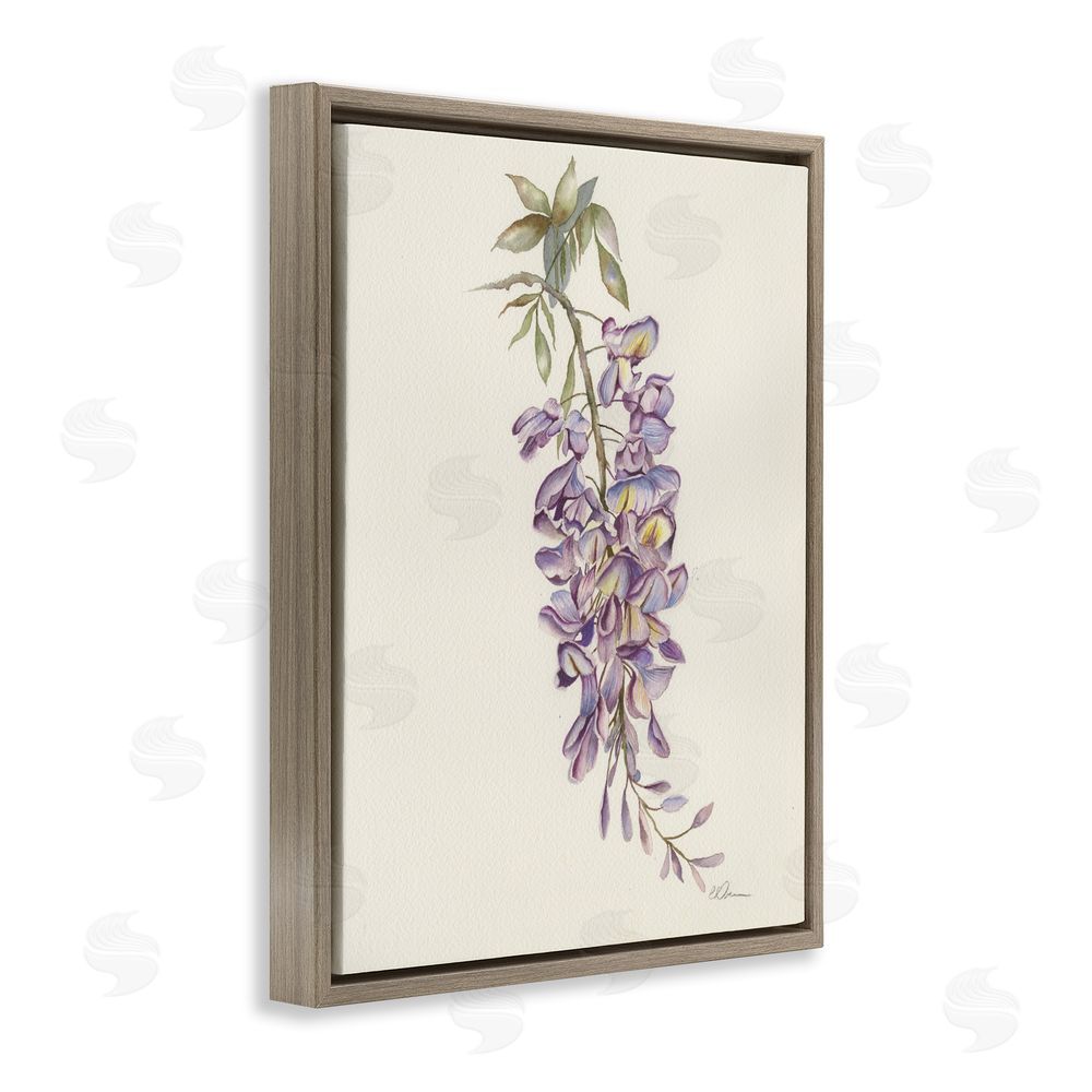 Cady Driver Delicate Hyacinths Study Brown Floating Frame Canvas Wall Art Print