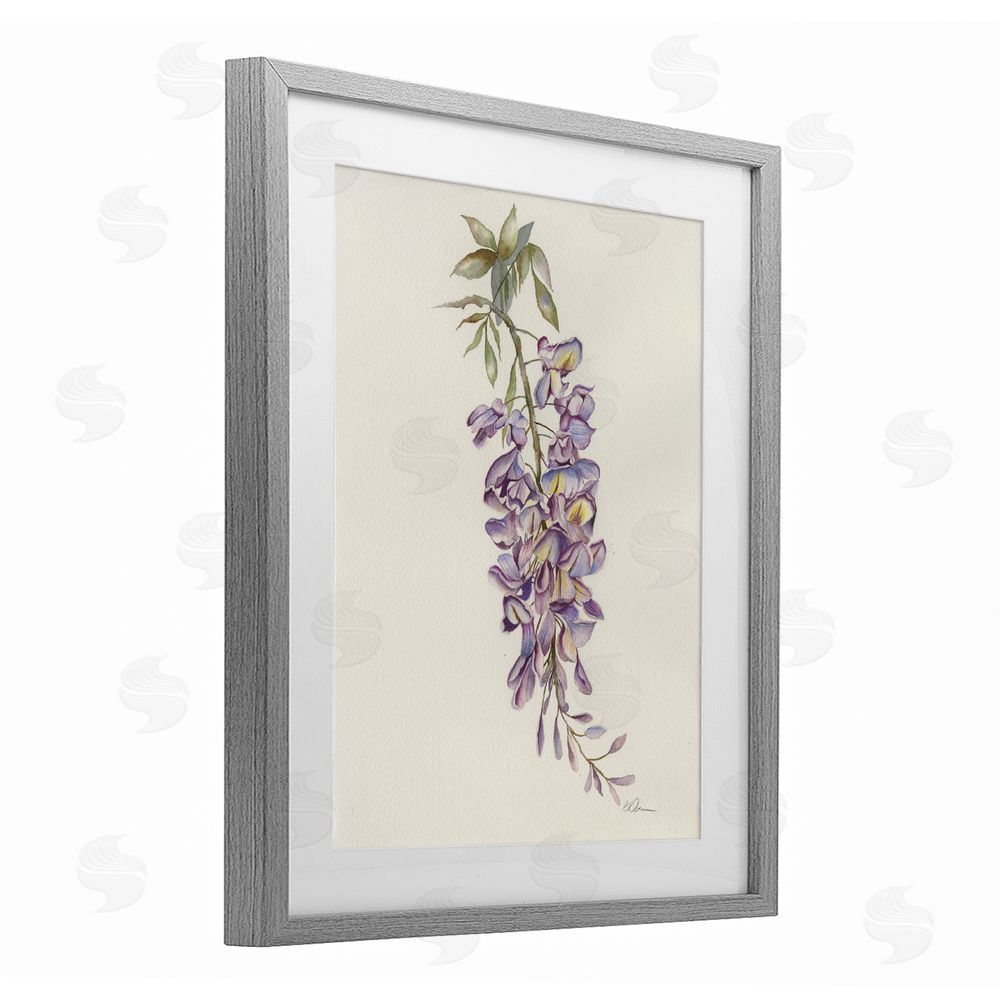 Cady Driver Delicate Hyacinths Study Gray Framed Print Under Glass Wall Art