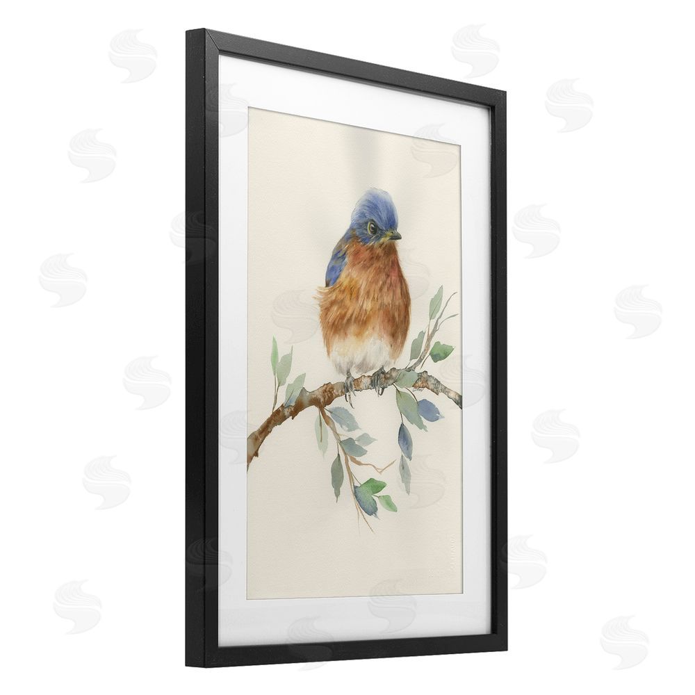 Cady Driver Songbird Perched on Branch Black Framed Print Under Glass with White Mat Wall Art
