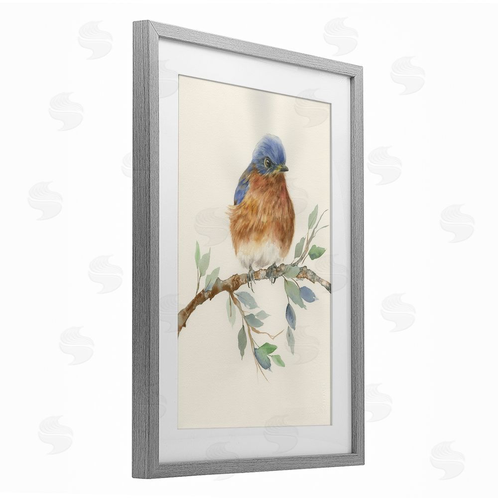 Cady Driver Songbird Perched on Branch Gray Framed Print Under Glass with White Mat Wall Art