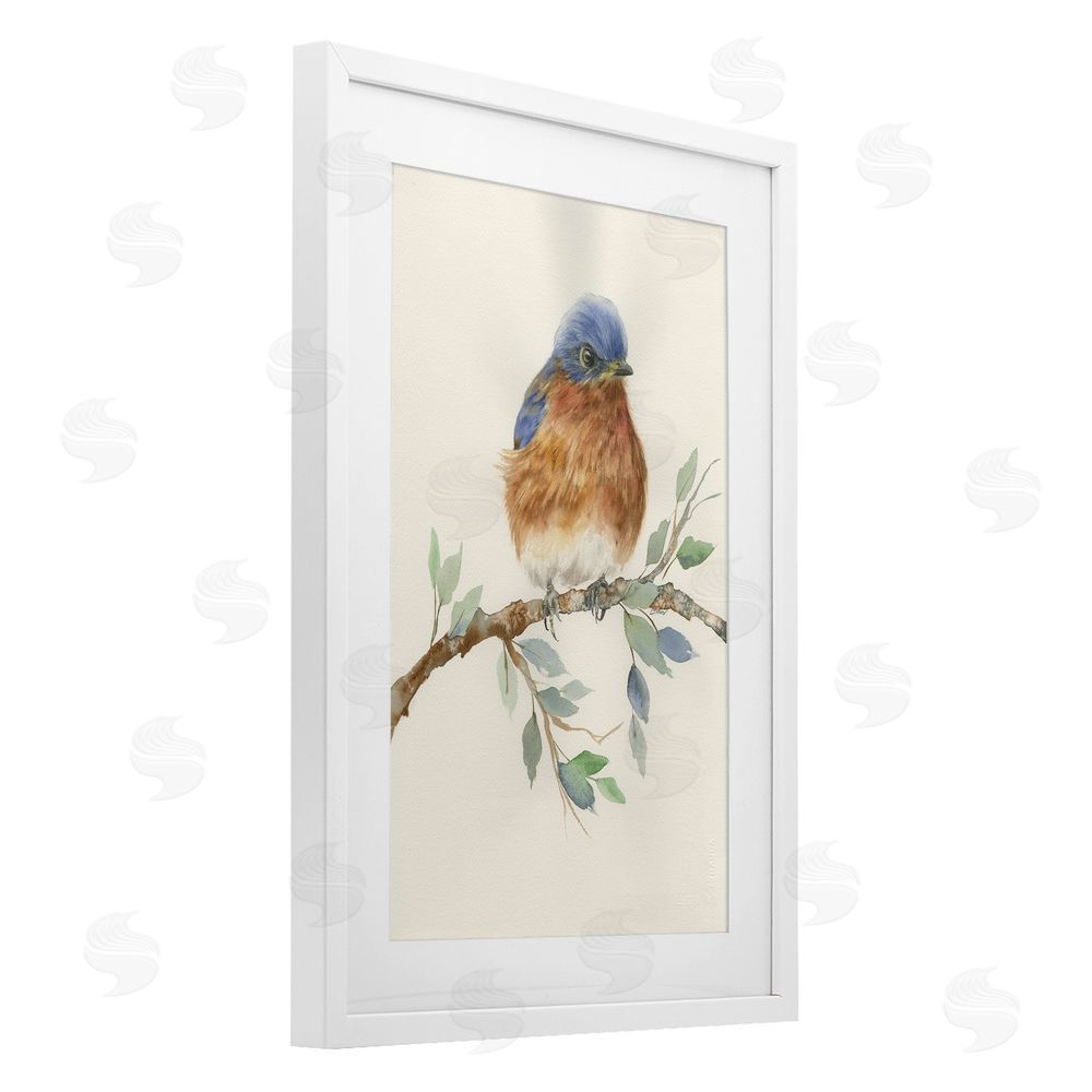 Cady Driver Songbird Perched on Branch White Framed Print Under Glass with White Mat Wall Art