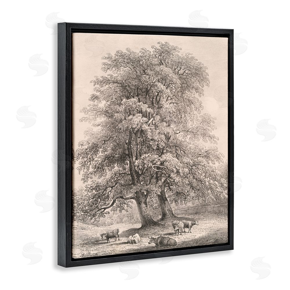 Wild Apple Portfolio Ash Trees at Bolton Abbey Black Floating Frame Canvas Wall Art Print