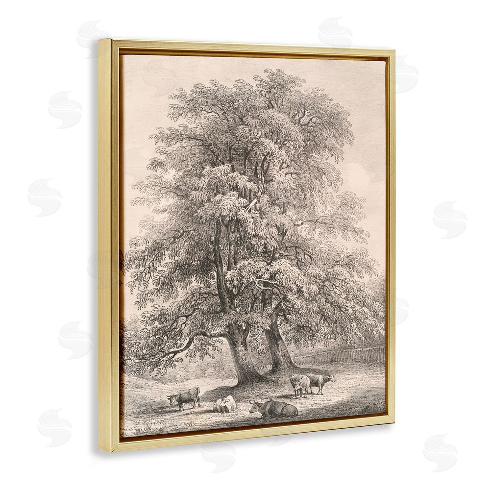 Wild Apple Portfolio Ash Trees at Bolton Abbey Gold Floating Frame Canvas Wall Art Print