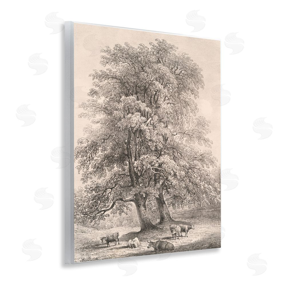 Wild Apple Portfolio Ash Trees at Bolton Abbey Wooden Wall Plaque Art Print