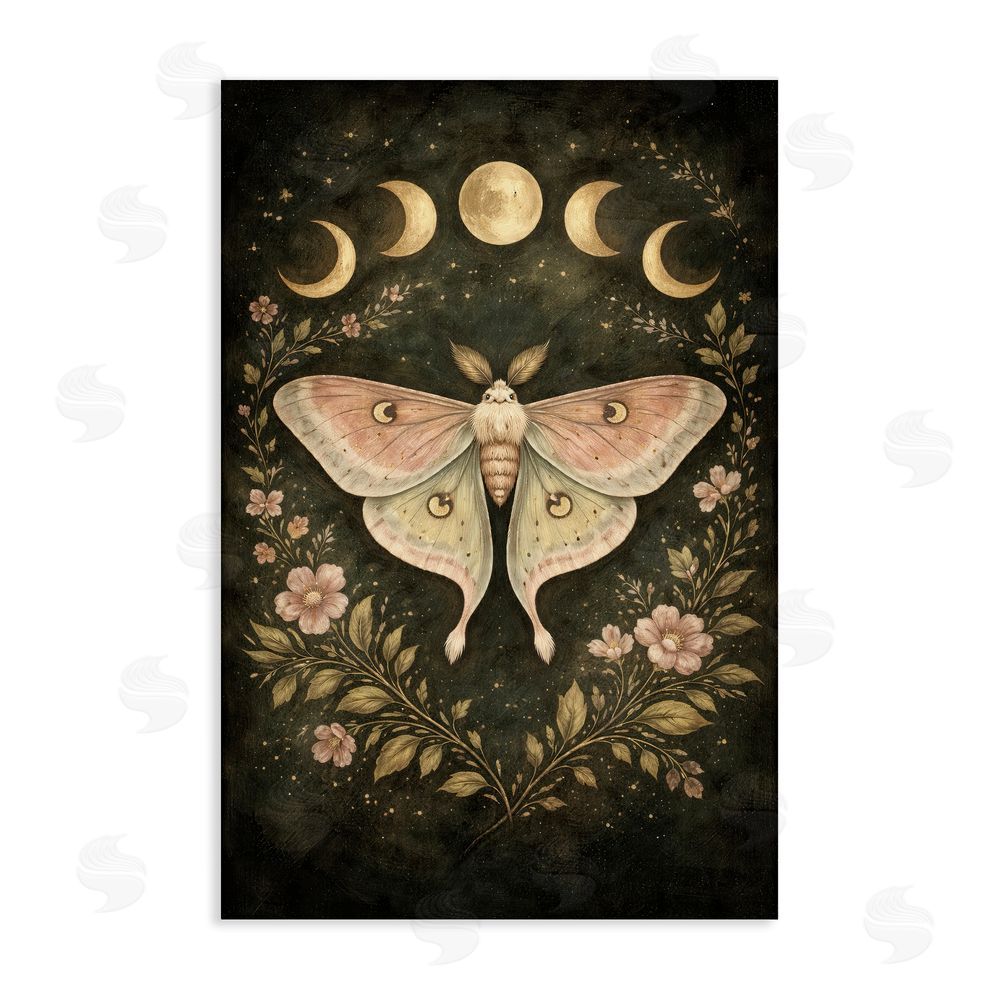Tom Crehan Celestial Moth with Lunar Phases Stretched Canvas Wall Art Print