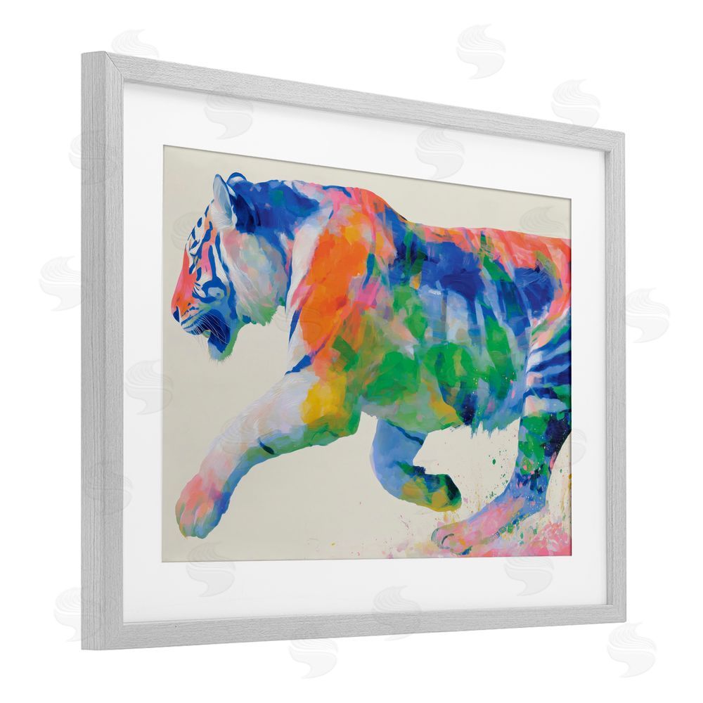 Chromatic Storm Studio Colorful Tiger In Motion Gray Framed Print Under Glass Wall Art