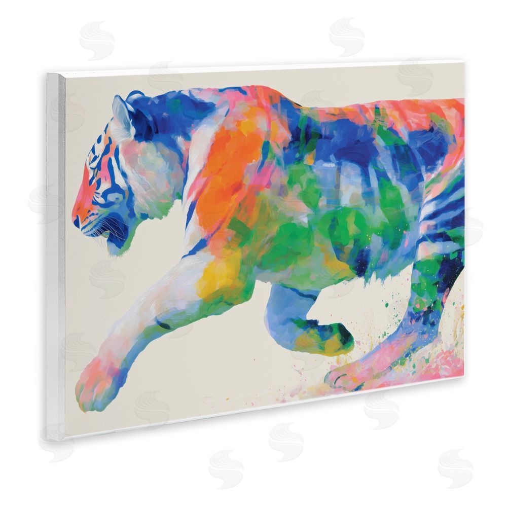Chromatic Storm Studio Colorful Tiger In Motion Wall Plaque with Fixed Lithograph Print