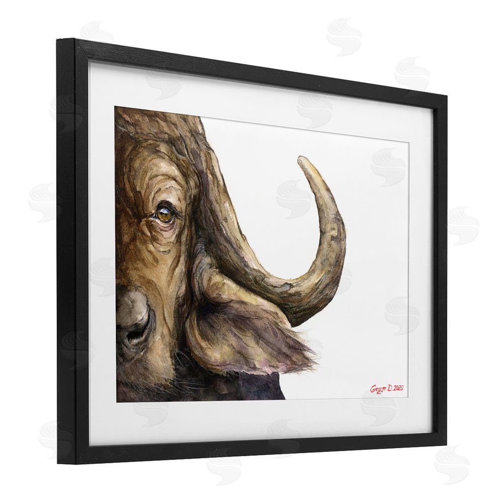 George Dyachenko Buffalo with Curved Horn Black Framed Print Under Glass Wall Art