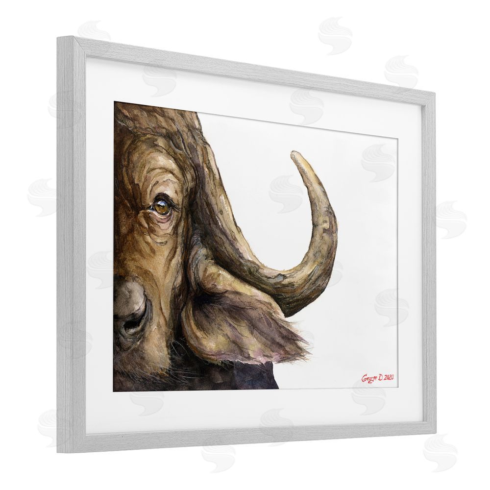George Dyachenko Buffalo with Curved Horn Gray Framed Print Under Glass Wall Art