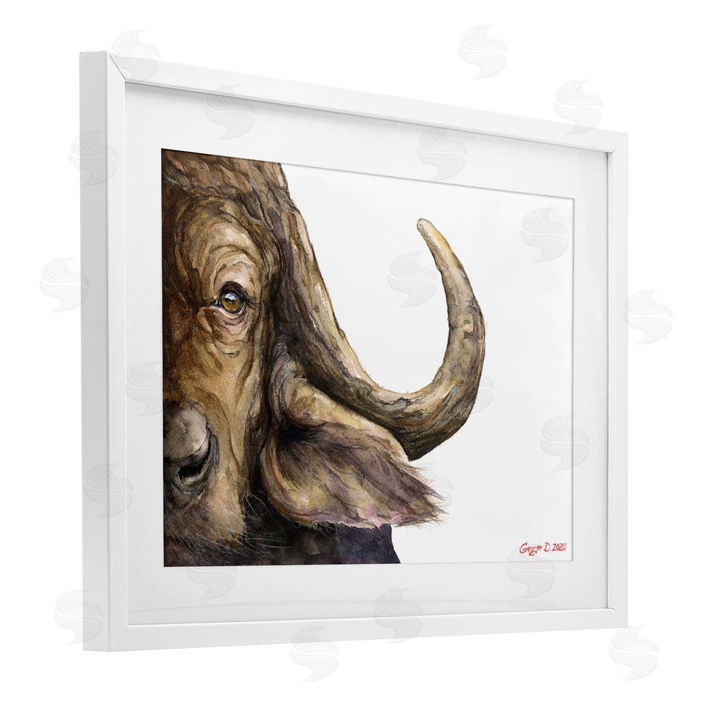 George Dyachenko Buffalo with Curved Horn White Framed Print Under Glass Wall Art