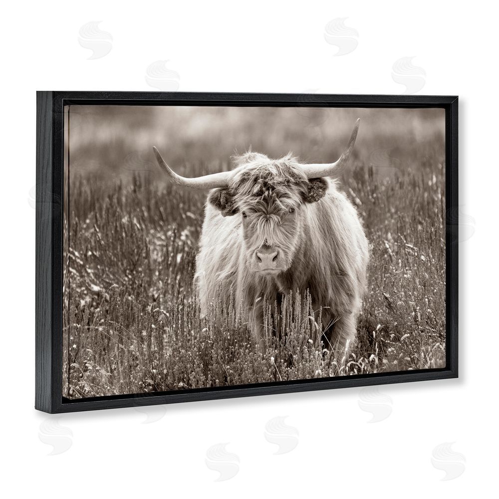 Steve Smith A Field & Cattle Black Floating Frame Canvas Wall Art Print