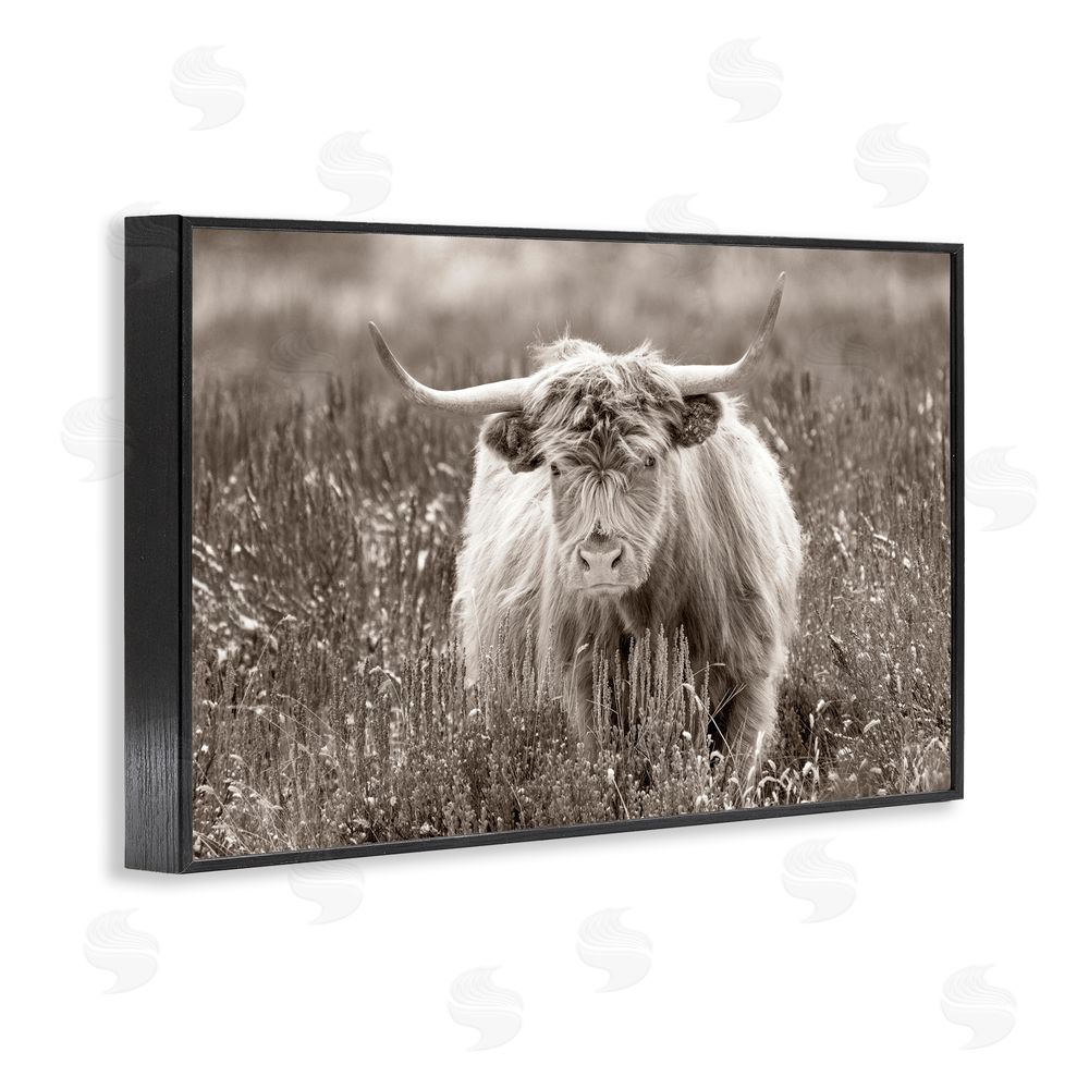 Steve Smith A Field & Cattle Black Framed Giclee Wall Art Print